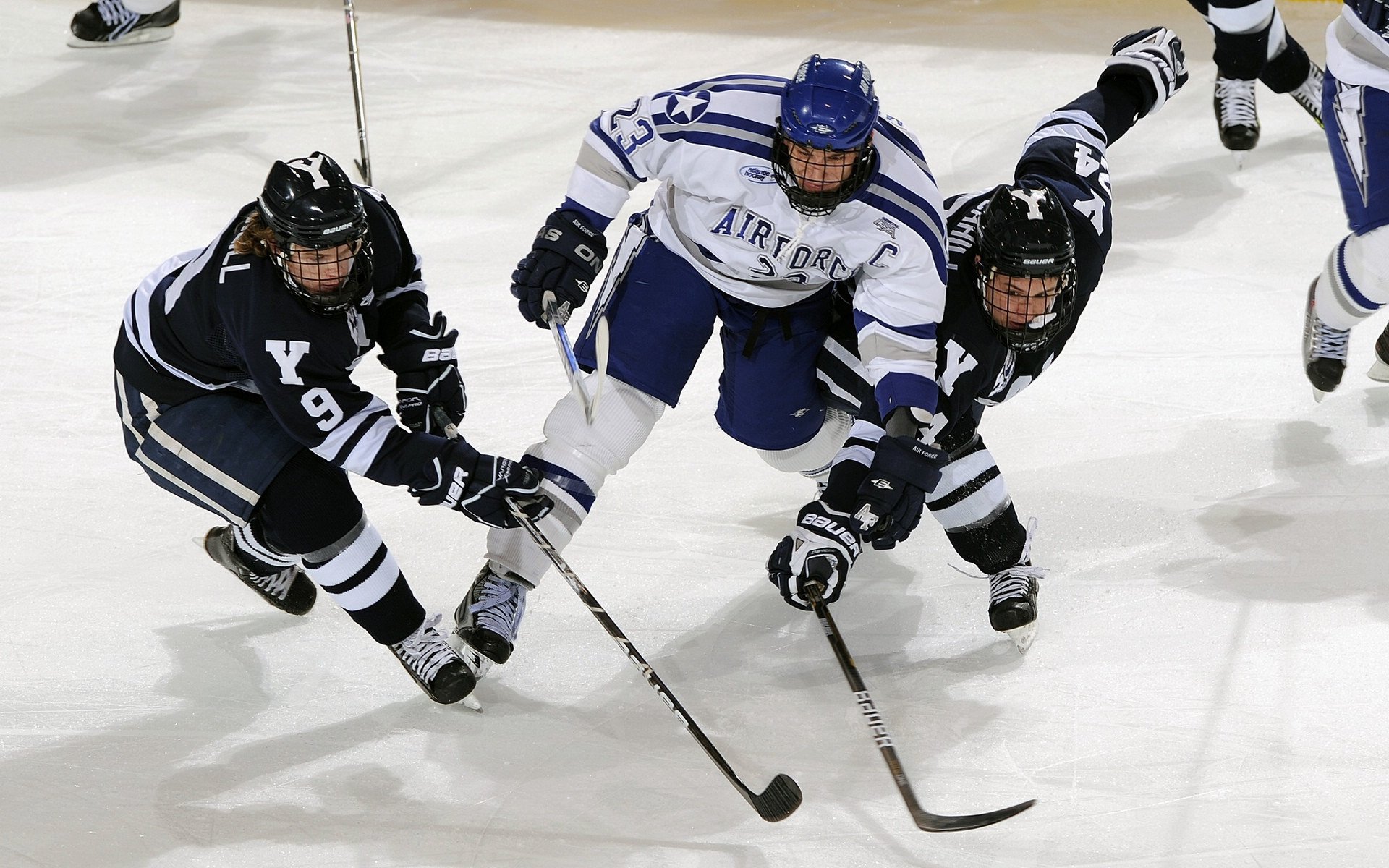 爱游戏体育-自由泳接力奥地利惊险晋级，自由泳接力破纪录