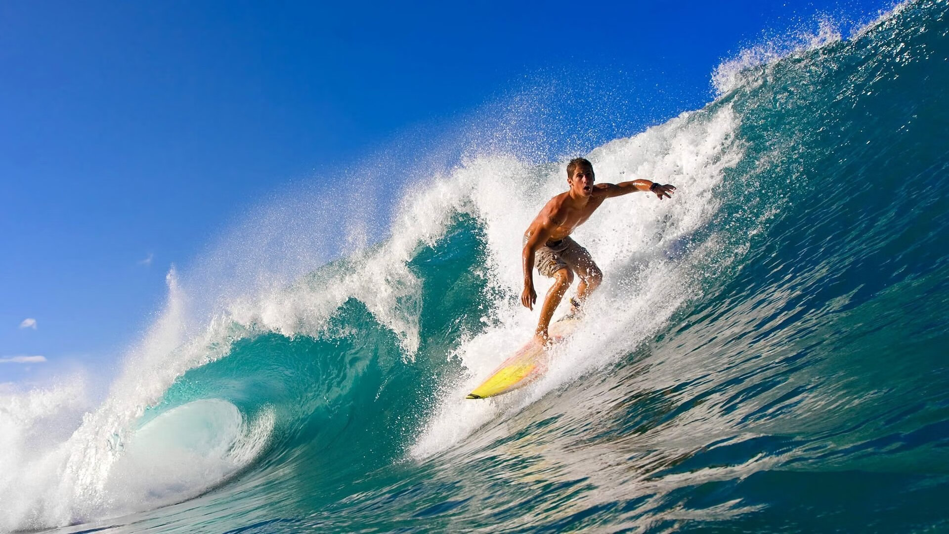 丹·卡特：全黑队进攻机器中的智者与控制者，丹特巅峰水平